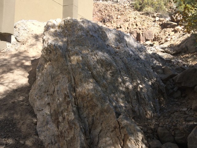 The amazing natural Arizona landscaping is salvage whenever possible.