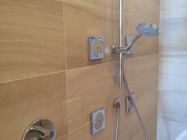 Master Bathroom Showerhead